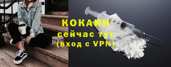 соль ск Алзамай