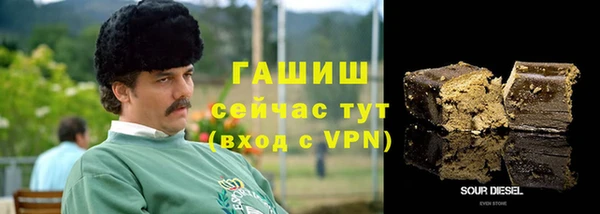 СК Алексин