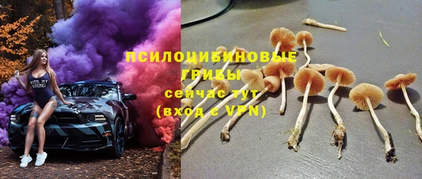 соль ск Алзамай