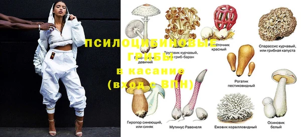 PSILOCYBIN Горняк
