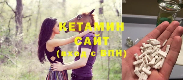 СК Алексин